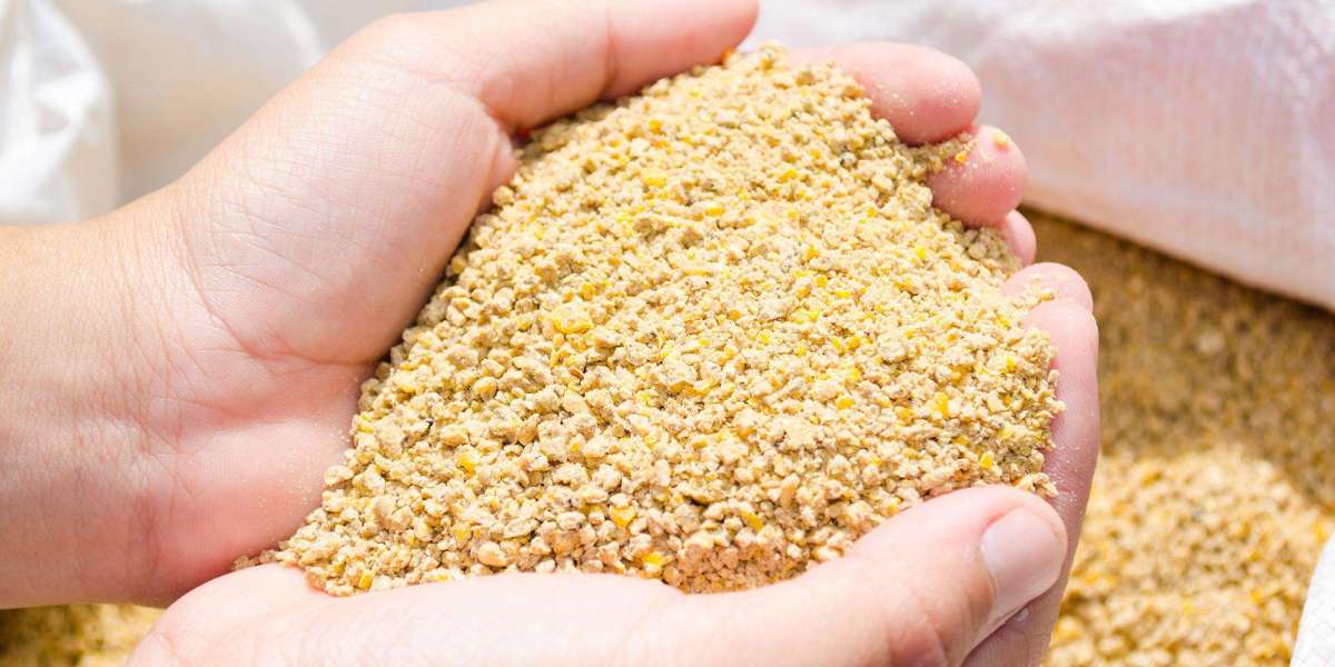 Feed Enzymes Market Drivers, Opportunities, Trends, and Forecasts by 2031