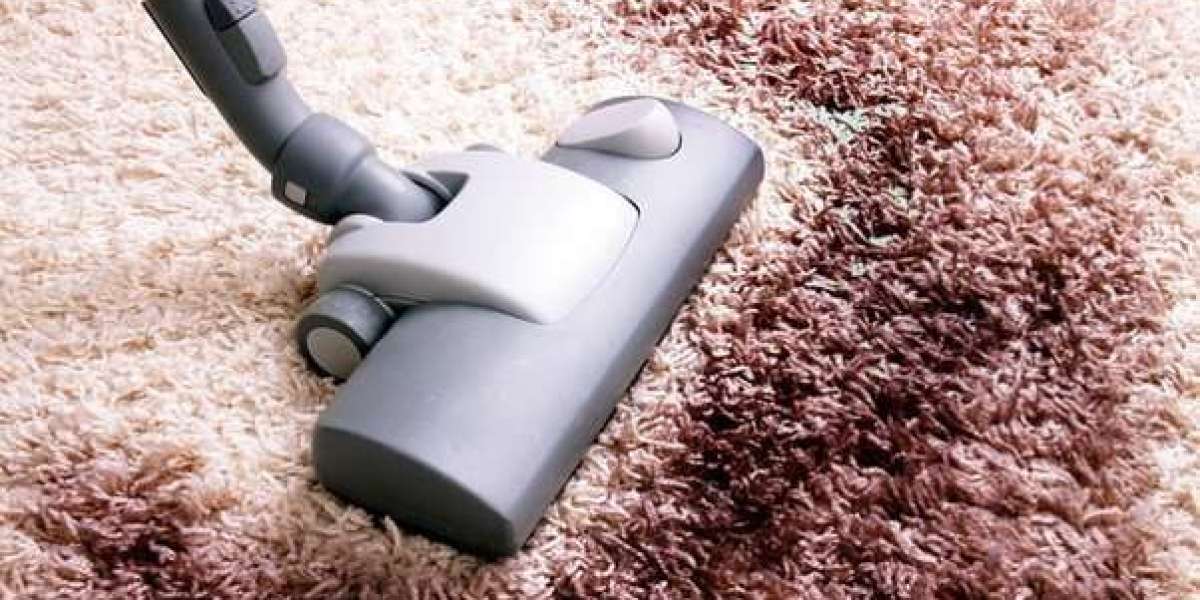 The Importance of Professional Carpet Cleaning in Burlington for a Healthy Home