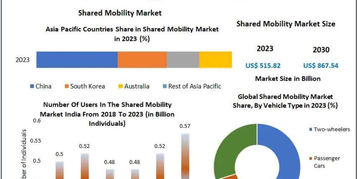 Shared Mobility Market Industry Summary, Magnitude, Influencing Factors, and Long-Term Trends