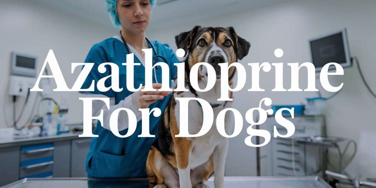 Is Your Dog Suffering from Autoimmune Disease? Azathioprine Could Help