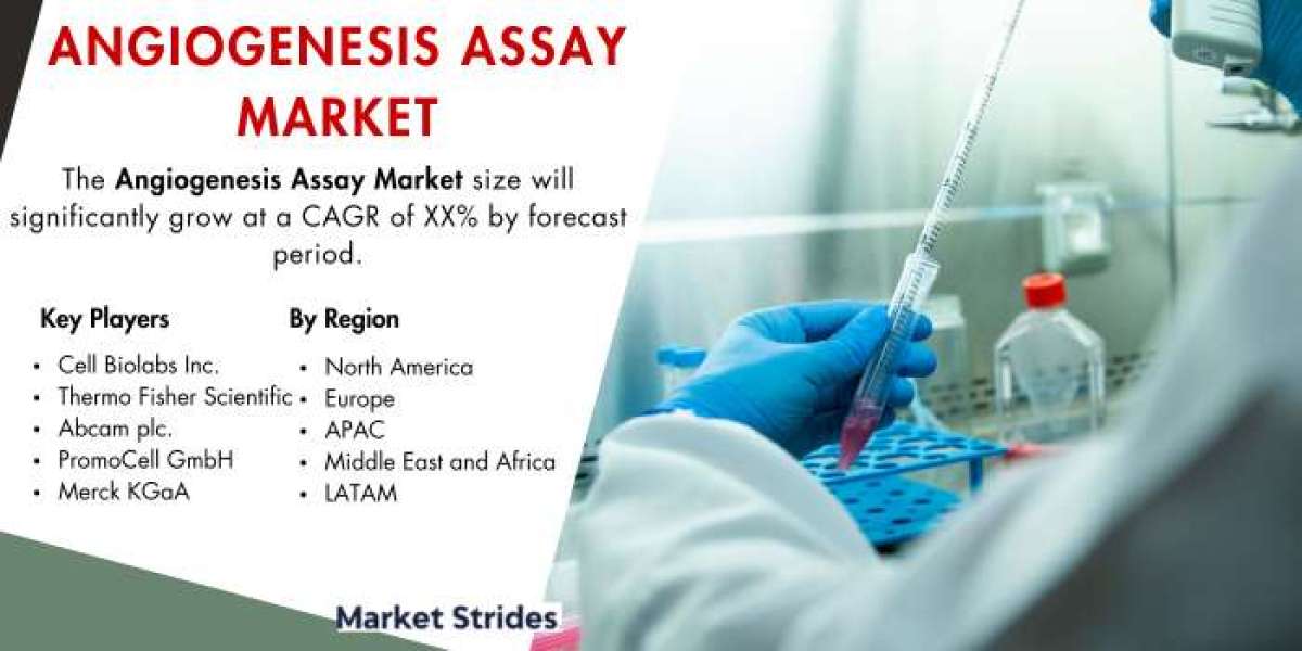 Angiogenesis Assay Market Size, Share, and Comprehensive Regional Analysis 2024-2032