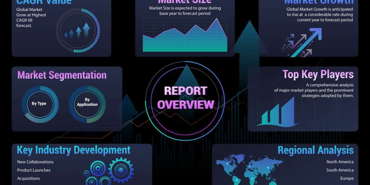 Harnessing Innovation: Thriving in the Rapidly Evolving High Pressure Automatic Spray Guns Market