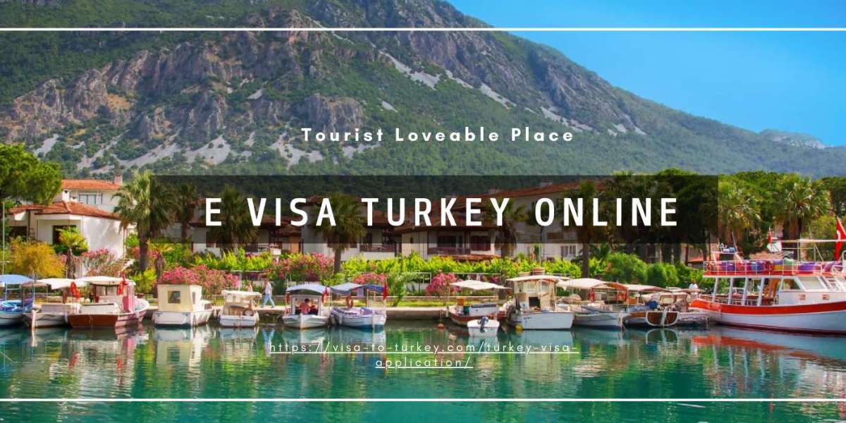 Exploring the E-Visa Application for Turkey: A Gateway to Nature's Wonders