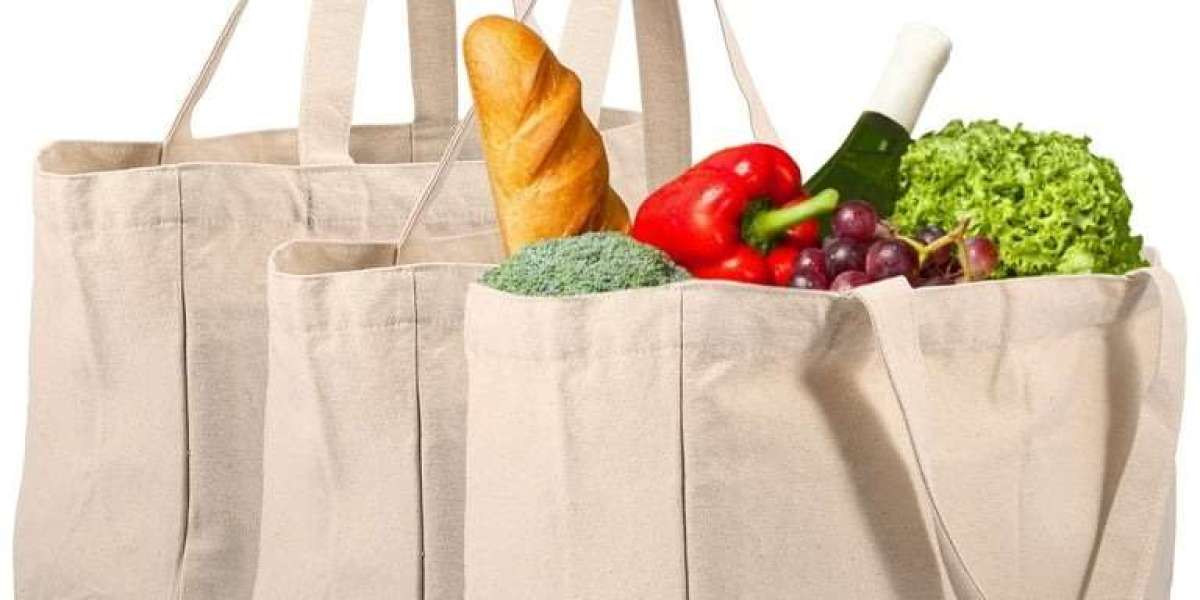 Keys to Running a Profitable Grocery Shopping Bag (using Biodegradable Granules) Manufacturing Plant: Expenses and Busin