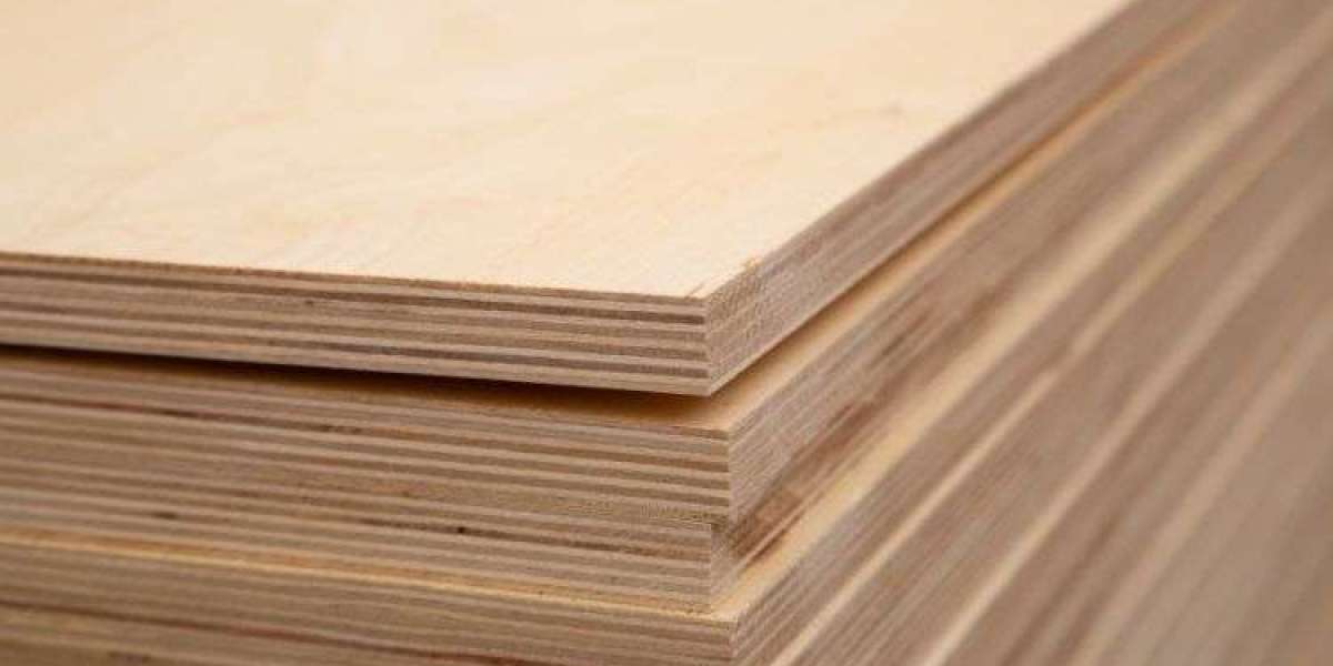 Insights into the Global Plywood Market (2024-2032)