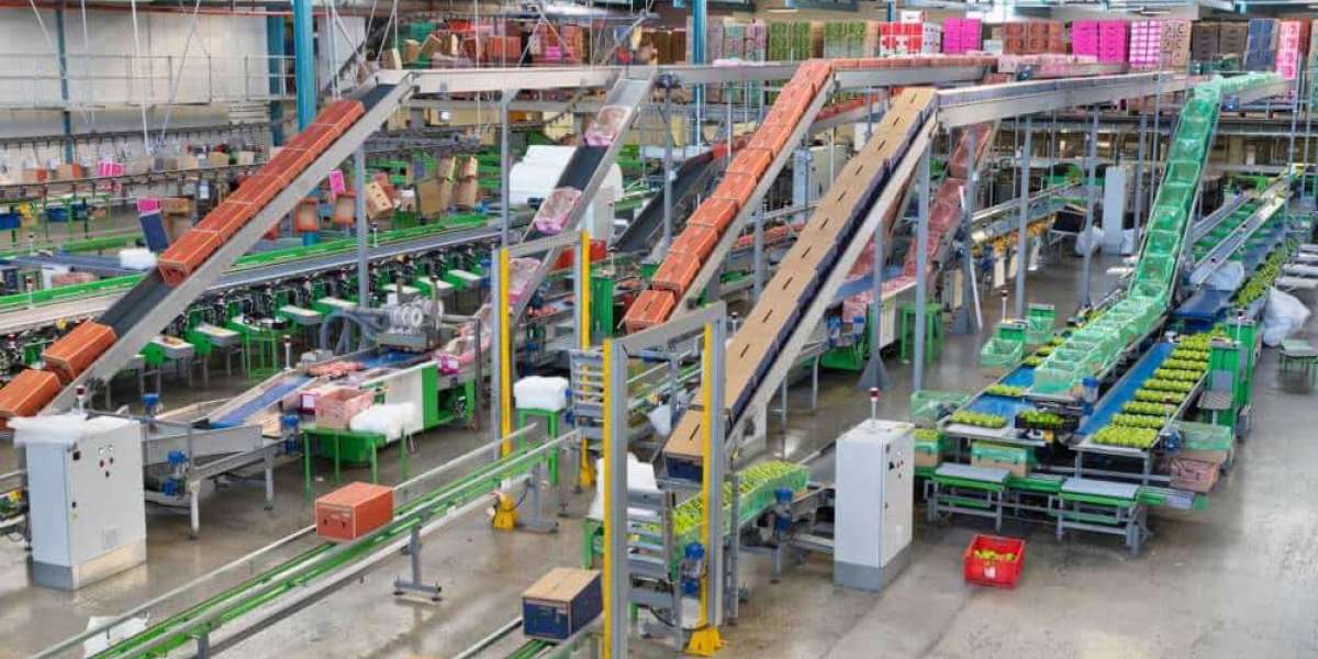 Warehouse Conveyor System