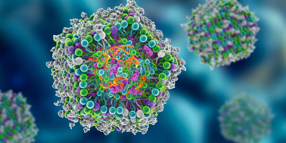 Understanding Tumor Energy Metabolism through Glycolysis and Oxidative Phosphorylation