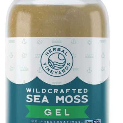 Delve Into The Benefits Of Wildcrafted Sea Moss Gel Profile Picture