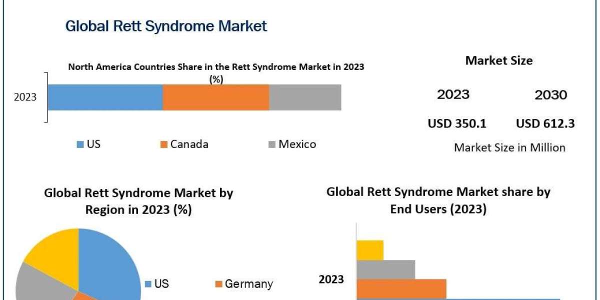 Rett Syndrome Market Segmentation, Investment Opportunities and Top Manufacturers 2030