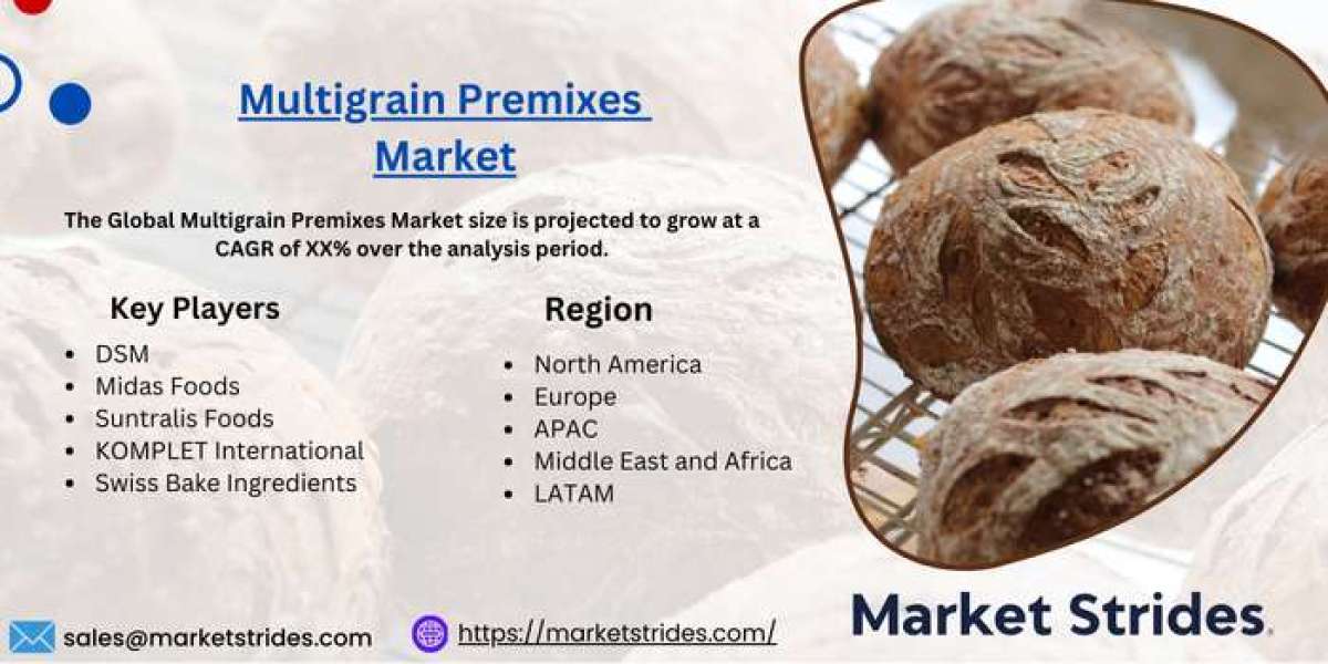 Multigrain Premixes Market Growth: Industry Analysis and Forecast 2031 | Market Strides