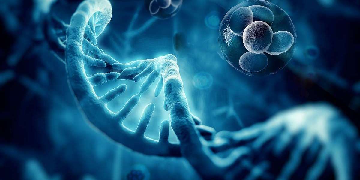 Overview of Cell Lysis and Protein Extraction