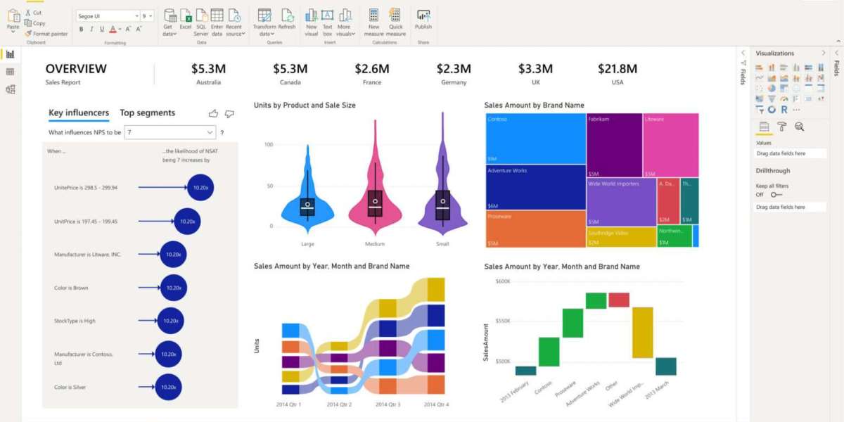 Roar Data: Trusted BI Services in Australia for Smarter Decisions