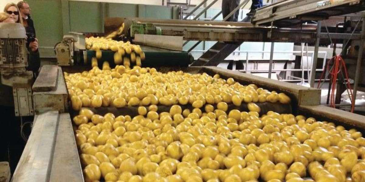 Potato Processing Plant Project Report: Machinery Requirements, Raw Materials and Business Plan