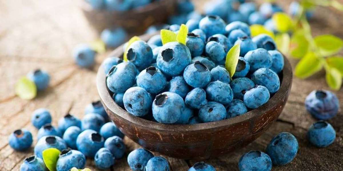 Blueberry Processing Plant Project Report 2024 | Utility requirements and Cost Involved