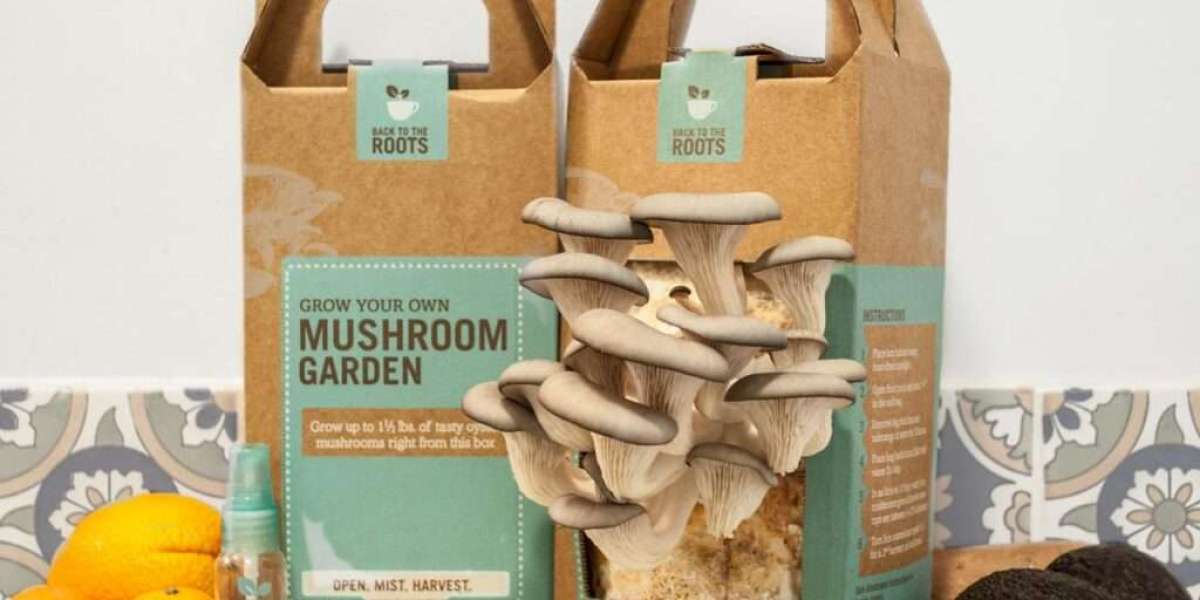 Printed patterns in mushroom packaging boxes