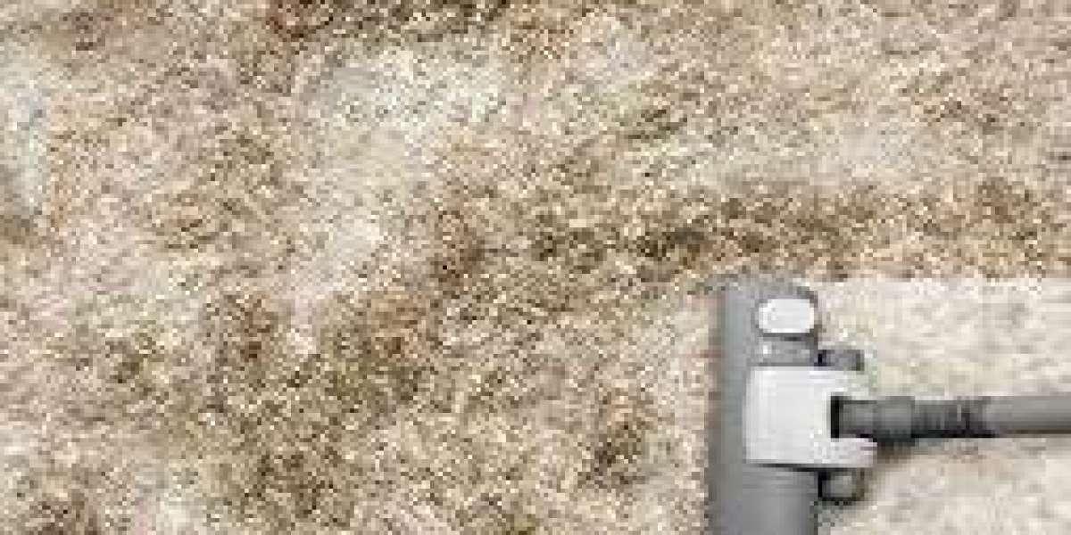 Why Carpet Cleaning Is Key to a Healthy Living Space