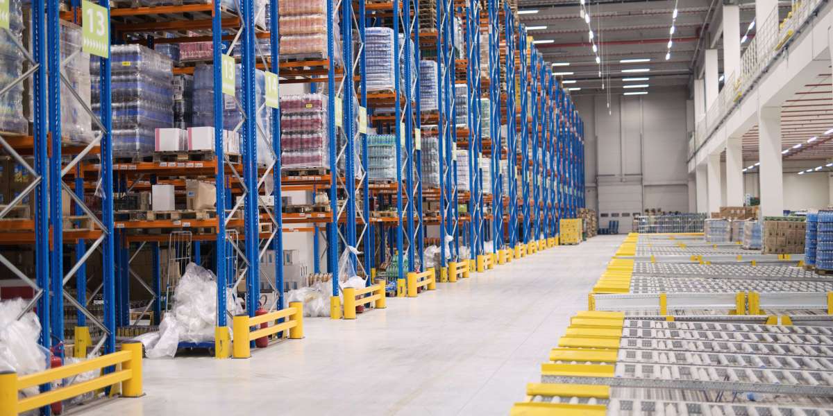 ASRS Cold Storage: Revolutionizing the Cold Chain Industry