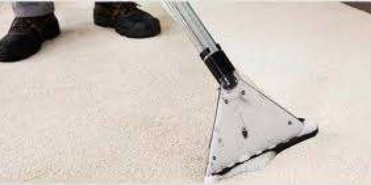 Keep Your Home’s Air Fresh with Professional Carpet Cleaning