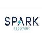 Spark Recovery