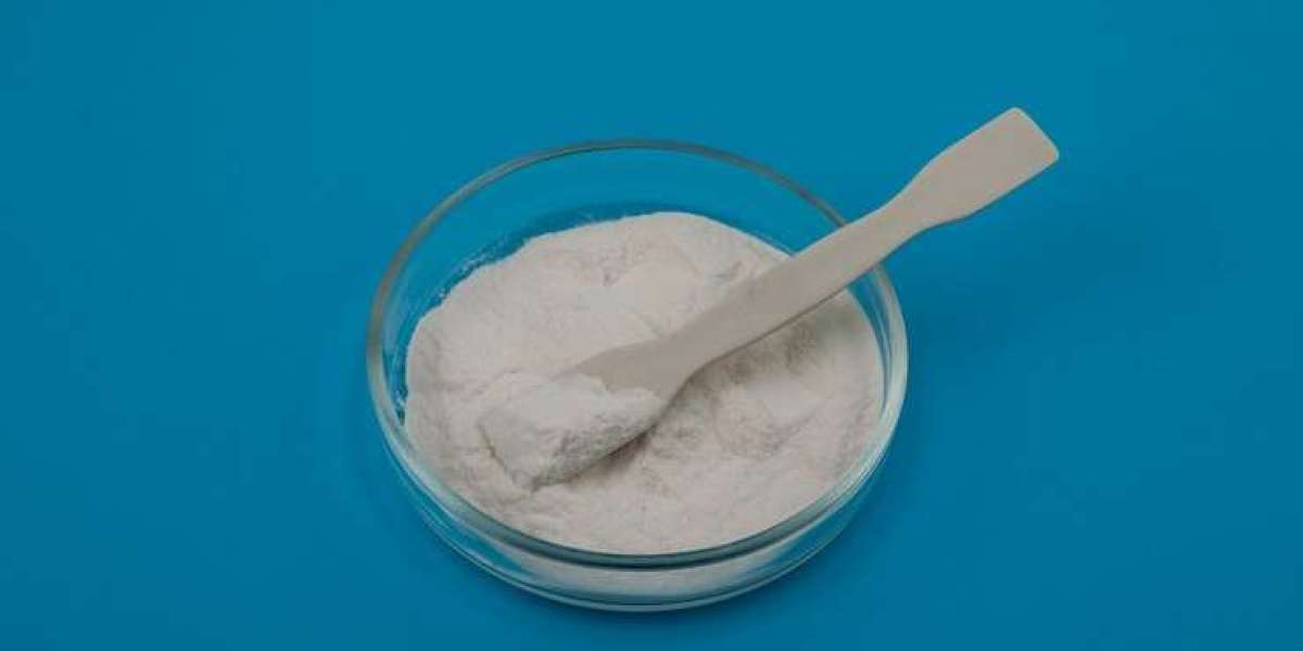 In-depth Analysis: Gelatin Powder Manufacturing Plant Project Report 2024 - Requirements and Setup Cost