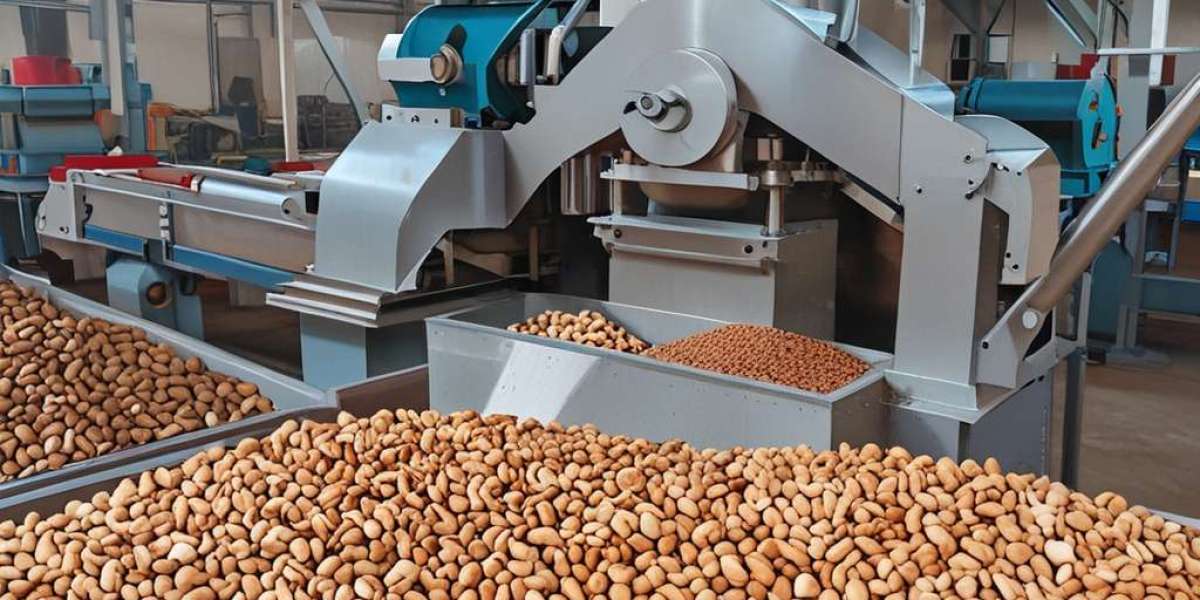 Cashew Nut Processing Plant Report 2024: Project Details, Machinery Requirements and Cost Involved