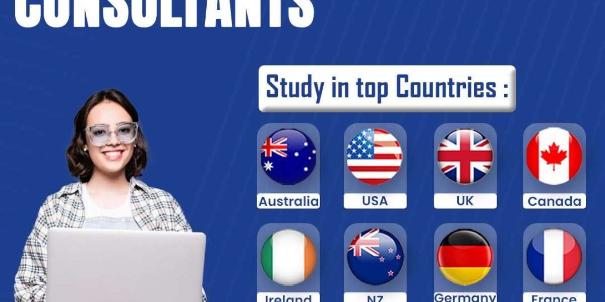 Best Study Abroad Consultants