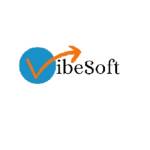 VibeSoft Web Dovelopment