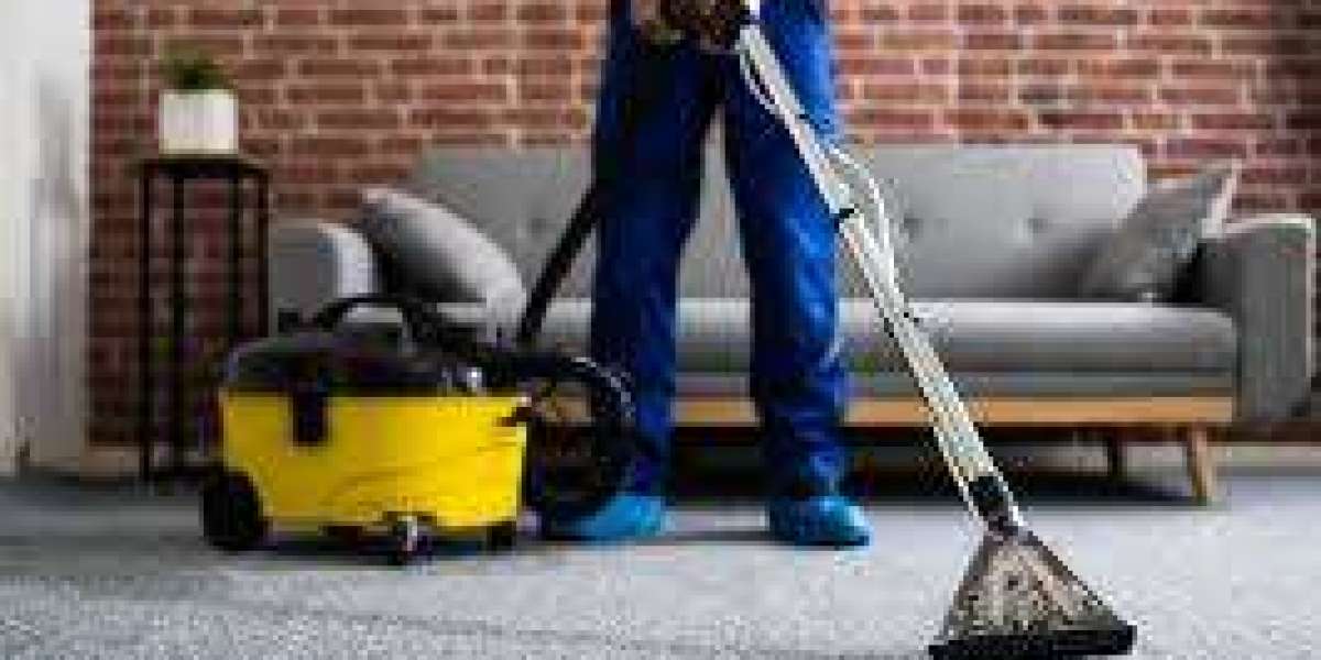 Why Your Home Needs Regular Carpet Cleaning for Optimal Comfort