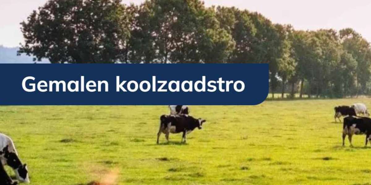 Koolzaadstro voor paarden: Een milieuvriendelijke bodembedekking