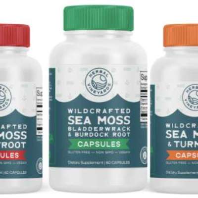 Boost Your Wellness with Organic Irish Sea Moss Capsules Profile Picture