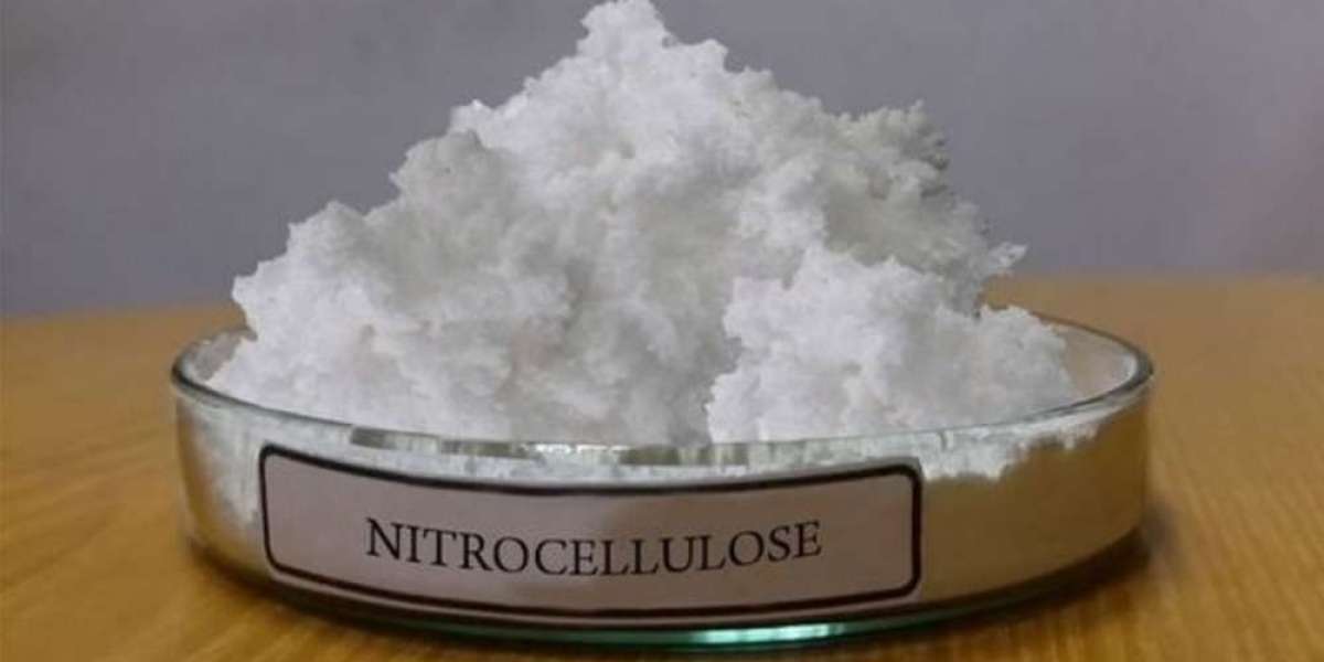 Key Aspects for Nitrocellulose Manufacturing Plant Setup Report