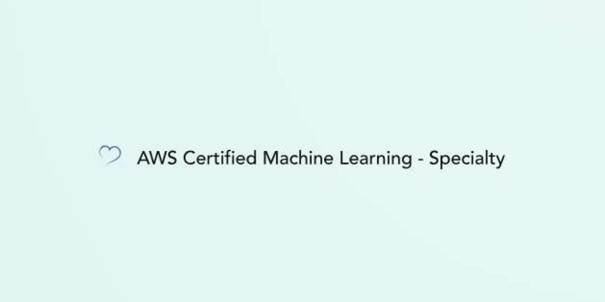 Exam Dumps That Work: AWS-Certified-Machine-Learning-Specialty-MLS-C01 Edition