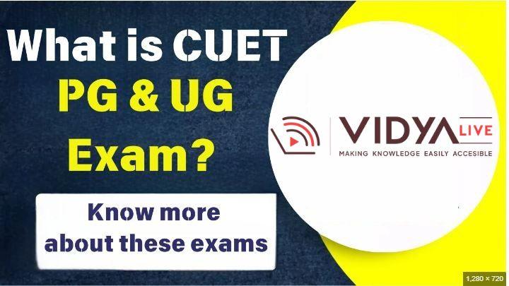 CUET UG vs CUET PG: Key Differences, Eligibility, Syllabus, and Counselling Explained - i Business Day