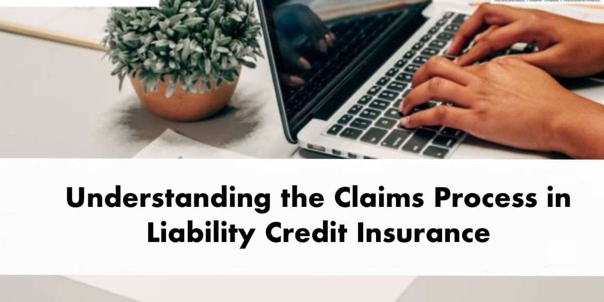 Understanding the Claims Process in Liability Credit Insurance