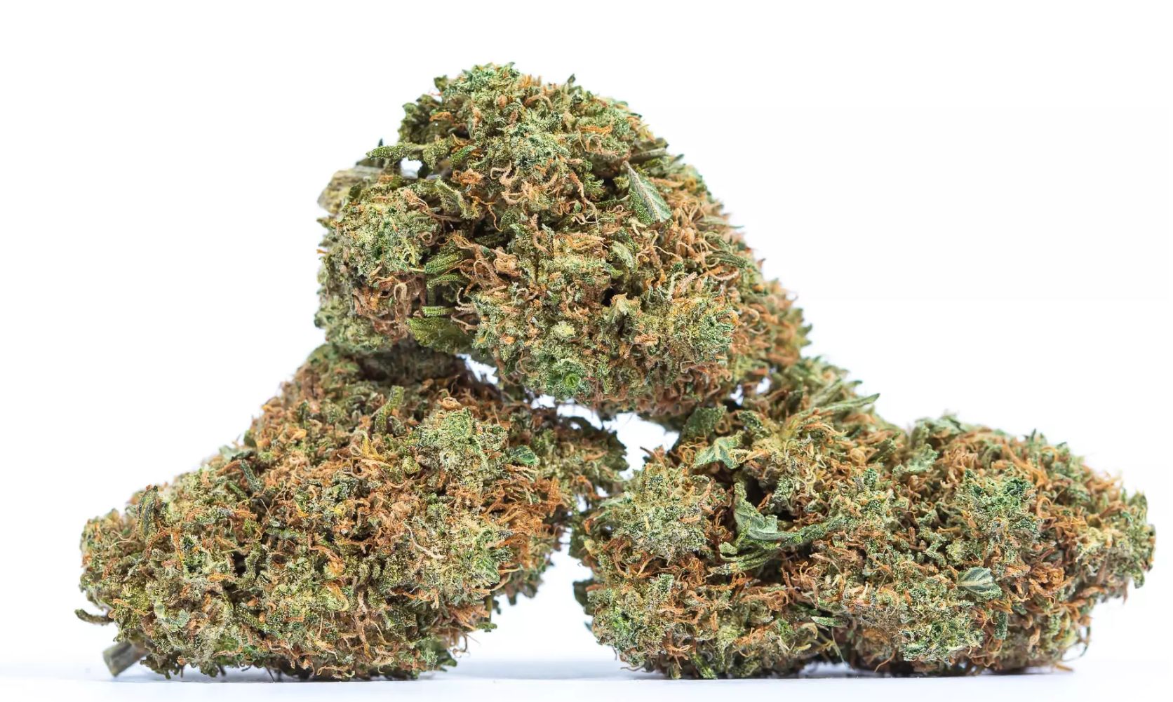 Feeling Horny? Here's What the White Rhino Weed Delivers