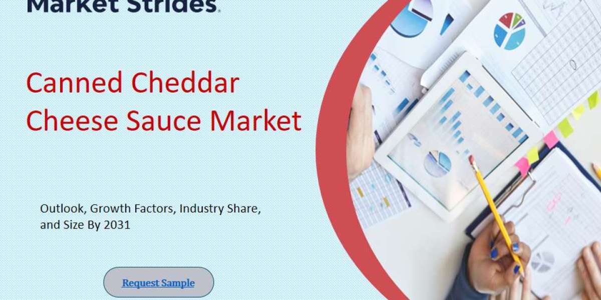 Canned Cheddar Cheese Sauce Market Growth and Opportunities, 2025-2033