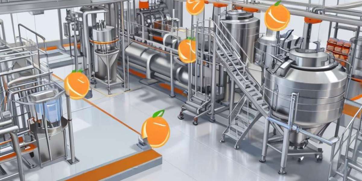 Vitamin C Supplement Manufacturing Plant Setup: Detailed Project Report 2024 by IMARC Group