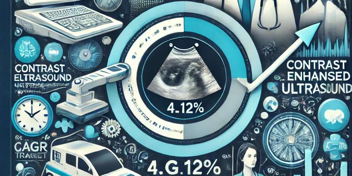 Contrast Enhanced Ultrasound Market Size and Share: Key Regional Developments, Leading Players, and Future Outlook 2024-