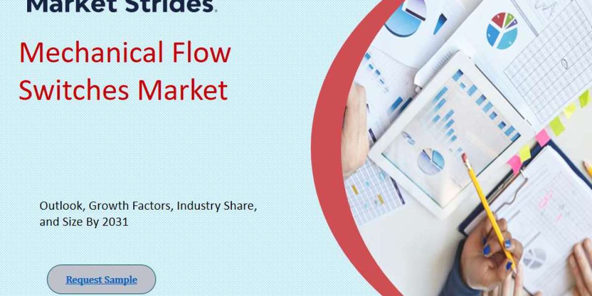 Mechanical Flow Switches Market Outlook, 2025-2033