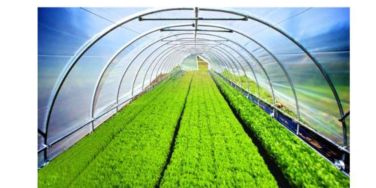 Exploring the Benefits of Greenhouse Film: A Comprehensive Guide