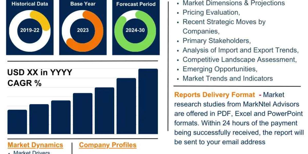 France Agrivoltaic Market Overview: Driving Forces Behind Rapid Growth & Expansion