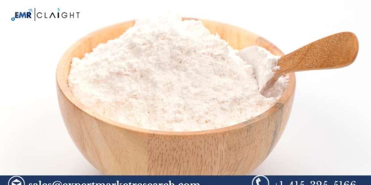 Cheese Powder Market: Trends, Growth Insights, and Future Outlook (2024-2032)