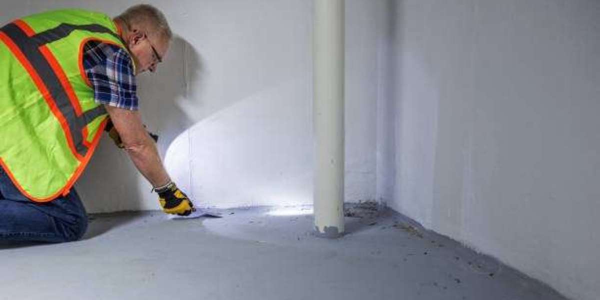 Renovating Your Home? Don’t Forget to Call a Mold Testing Company in Lakewood Ranch