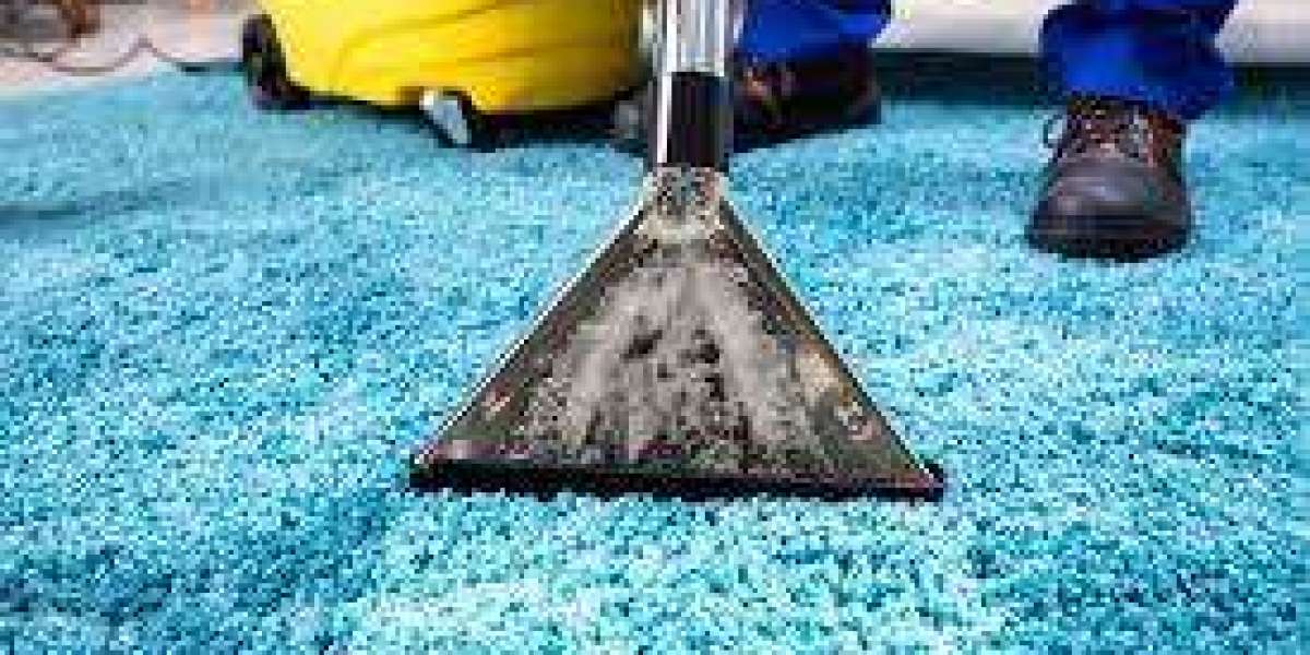 Discover the Comfort Benefits of Professional Carpet Cleaning