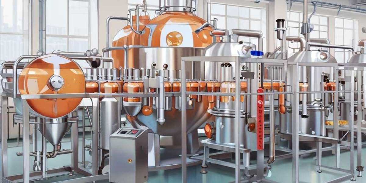 Vitamin C Supplement Manufacturing Plant Report 2024: Industry Trends and Raw Materials