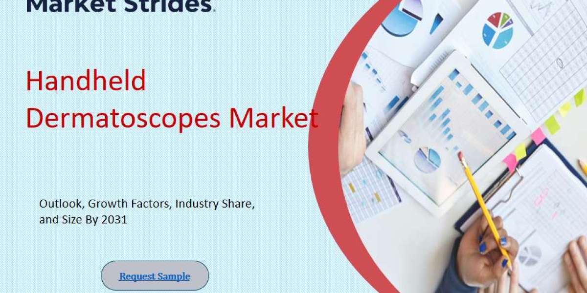 Handheld Dermatoscopes Market Outlook, 2025-2033