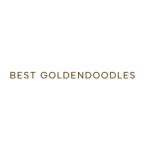 Best Goldendoodles