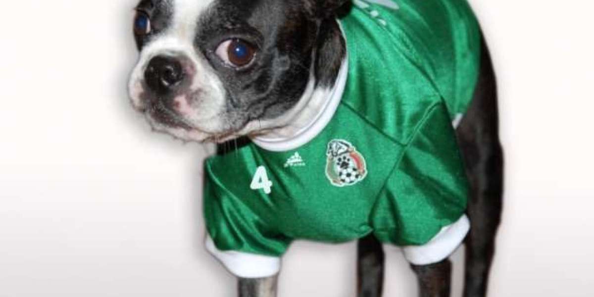 Mexico Dog Jerseys | Perfect for Game Day and Beyond