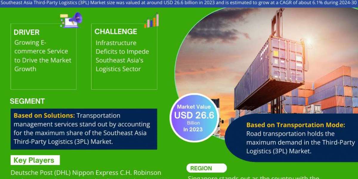 Southeast Asia Third-Party Logistics (3PL) Market Overview: Driving Forces Behind Rapid Growth & Expansion