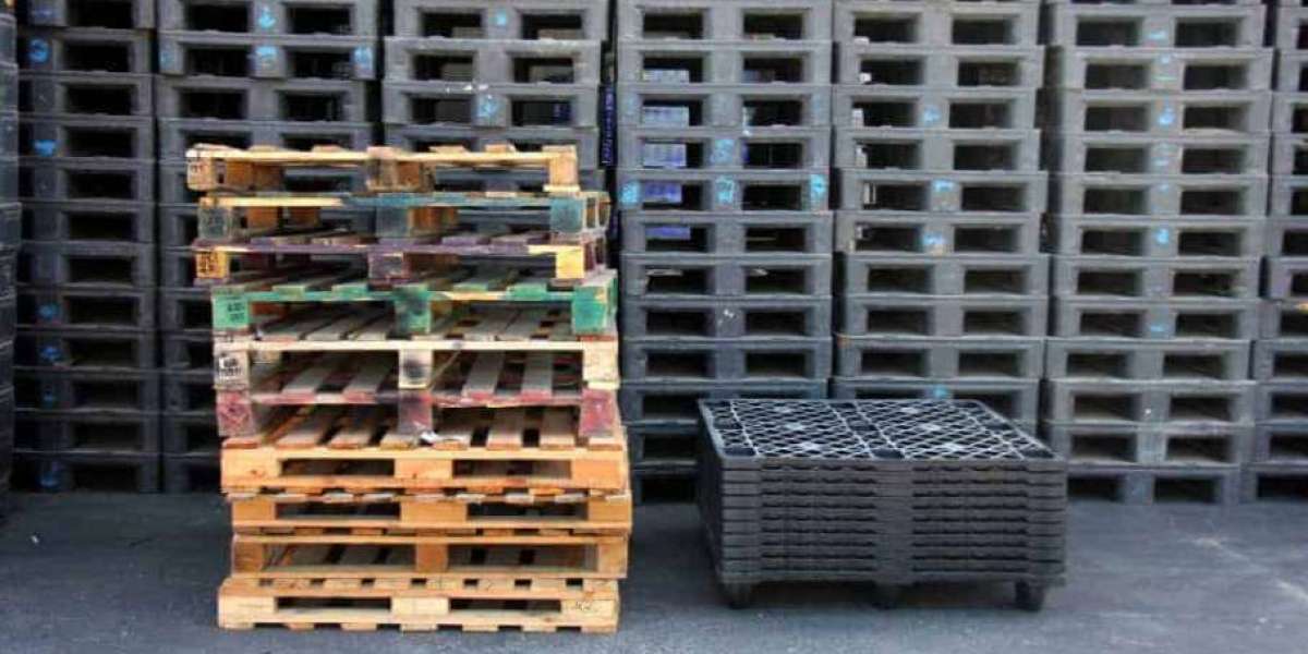 Choosing the Right Wood & Plastic Pallets Supplier: A Comprehensive Guide